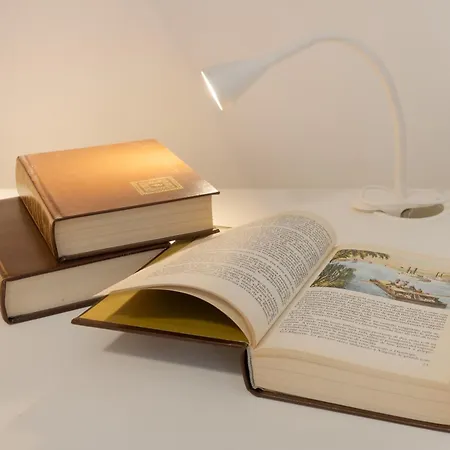 Palladio Due - Spazioso 3